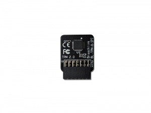10.BL-TPM-R-SPI BL-TPM-R-SPI