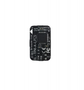 1755387015852 BL-TPM-A-LPC5