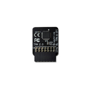 BL-TPM-R-SPI