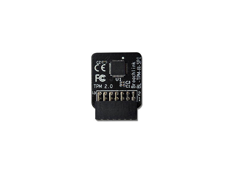 BL-TPM-R-SPI