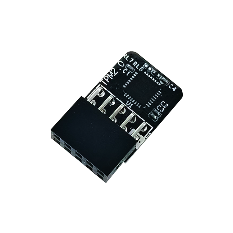 BL-TPM-X99-LPC1-9PNC